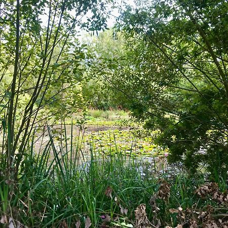 Eikenburg B&B Eindhoven Bagian luar foto