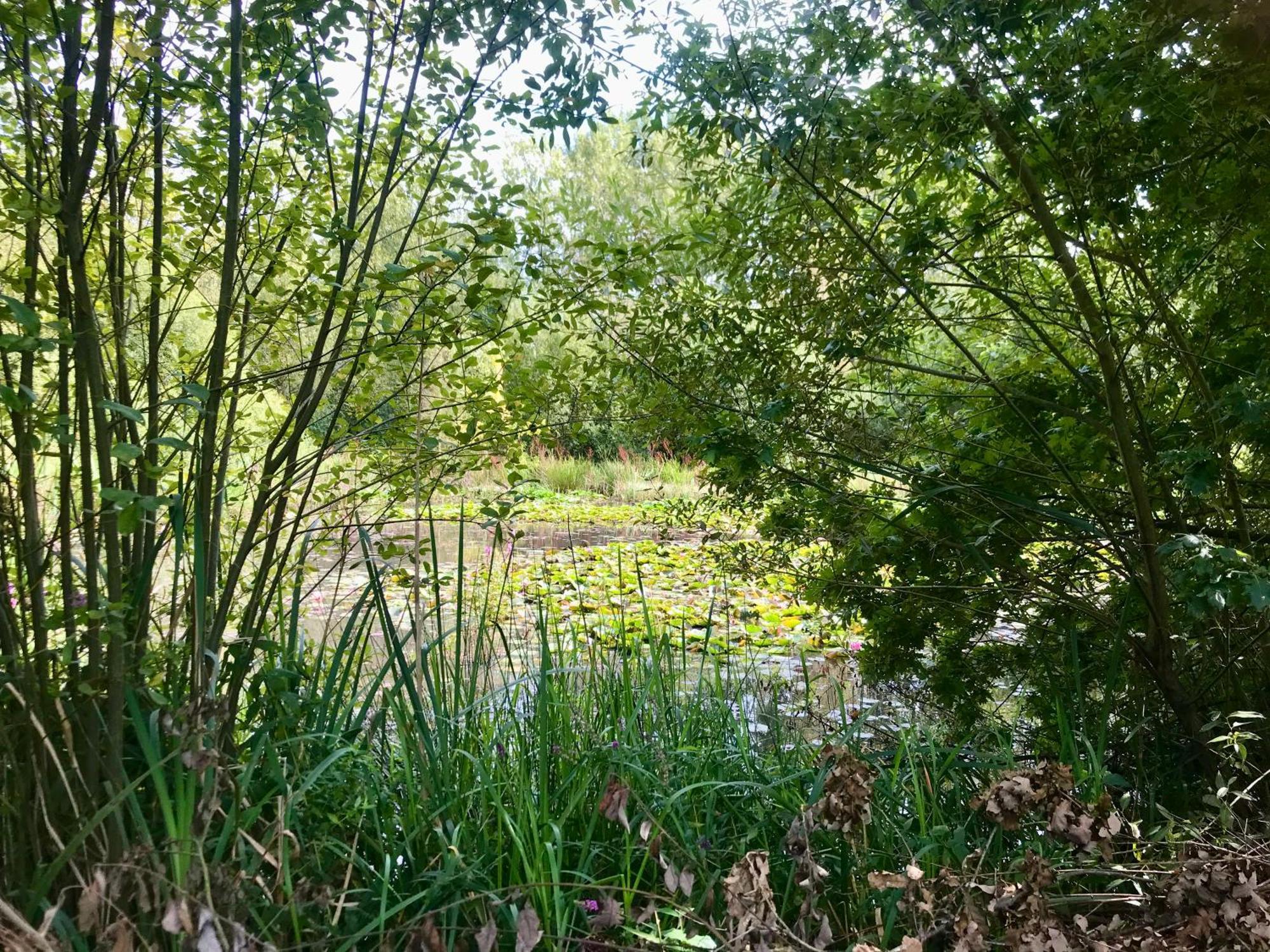 Eikenburg B&B Eindhoven Bagian luar foto